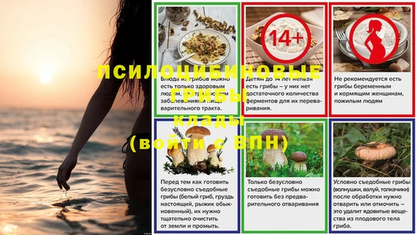jwh Богородицк