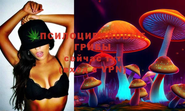 jwh Богородицк