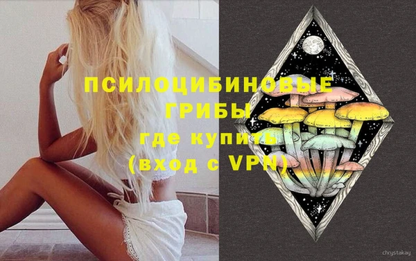 jwh Богородицк