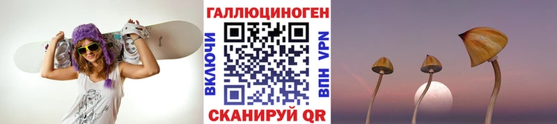 Галлюциногенные грибы мицелий  купить   Берёзовский 